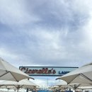 구라피쉬 이미지