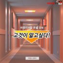 여일투어 이미지