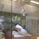 냉삼마트 이미지