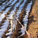 [유기견 임보/입양홍보] 6개월 애교사랑둥이 코코의 가족을 찾아요 이미지