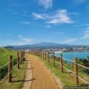 루나넬마레 | 제주 3박4일 가족 여행기: 서우봉, 구엄리돌염전, 한담해안산책로, 장인의집, 방림원(+교통사고...)