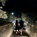 씨유동해무릉숲점(CU동해무릉숲점) | <동해여행>동해무릉건강숲 힐링숙박, 무릉달빛 호암소길 산책