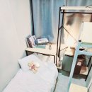 그린스테이 이미지