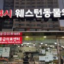 구로종합동물병원 이미지