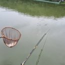 고담낚시터 이미지