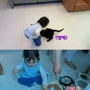 다홍 Daum카페