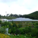 일풍태양광발전소 이미지