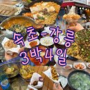 속초-강릉 3박 4일 여행: 속초 장칼국수, 최일순 짬뽕순두부, 엄지네 포장마차, 참새둥지야영장
