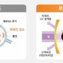 DIG FAB CLUB 이미지