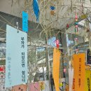 이서고등학교 | 1박2일 7월 여름 대마도여행 후기 히타카츠 여행 추천