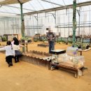 대인농장3 이미지