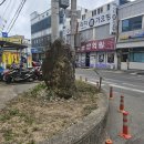 조선목장 이미지