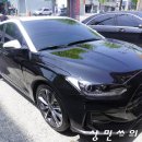 카멜레온 디테일 이미지