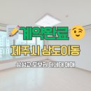삼성초교 | [계약완료후기] 🏠 삼성초등학교 도보권 다세대 매매 계약 완료 #구해줘제주부동산 #제주부동산 #제주다세대