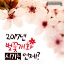 봄꽃산부인과의원 네이버블로그