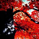 대신공원로 이미지