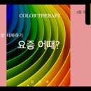 멍편한세상 네이버블로그