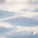 동대문한의원 이미지