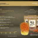 디자인스튜디오콕스 이미지