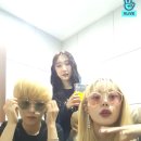 태리라이브