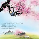 꽃그늘