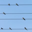 솔로몬부동산 이미지