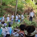 하이라이프 이미지