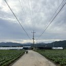 하널 | 춘천 감성숙소 하널 내돈내산 후기