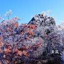 갈림길 Daum카페