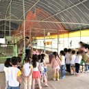 공주목장 이미지