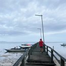 아멜리아 이미지