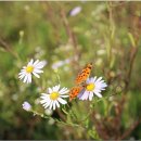 문막체육공원길 이미지