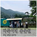 원송정 사슴농장 | 보령 아기랑 갈만한 곳 개화예술공원 바둑이네 동물원 내돈내산 솔직후기