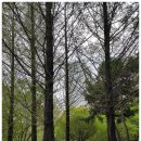 제33호공원 이미지