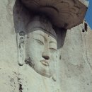 종로-종로-종로-종-215 Daum카페