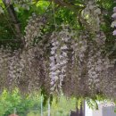 동화숲민박 이미지