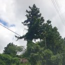 이슬목장 이미지