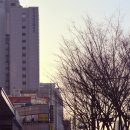 김문정 목포포차 | 서울 여행기