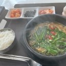 고창고인돌(목포) 이미지