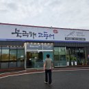 봉일천중 교차로 농협 앞1 | [양주 생선조림 맛집] 북극해고등어 양주고읍점 내돈내산 후기