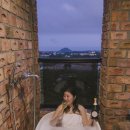 브로딕 제주 이미지