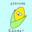 양꼬치 앤 칭따오 - 의정부시 | 양꼬치 앤 칭따오