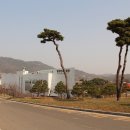 오상리고인돌주차장 이미지