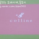 콜린(colline) 티스토리