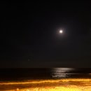 물결치는 달빛 (  이미지