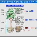 식물의 양분흡수 이미지