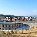 경북 경산 동의한방촌 겨울 실내 체험 족욕 산책 삼성현 카페 인포그 부모님 가볼만한 곳
