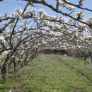 혁준농장 이미지