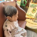 또래(어울림)어린이집 | 스케쳐스 키즈 운동화 비교 2탄 — 딜라이트·우노라이트·코트하이, 워킹맘이 골랐어요