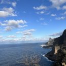 울릉도 카라반 1호 이미지